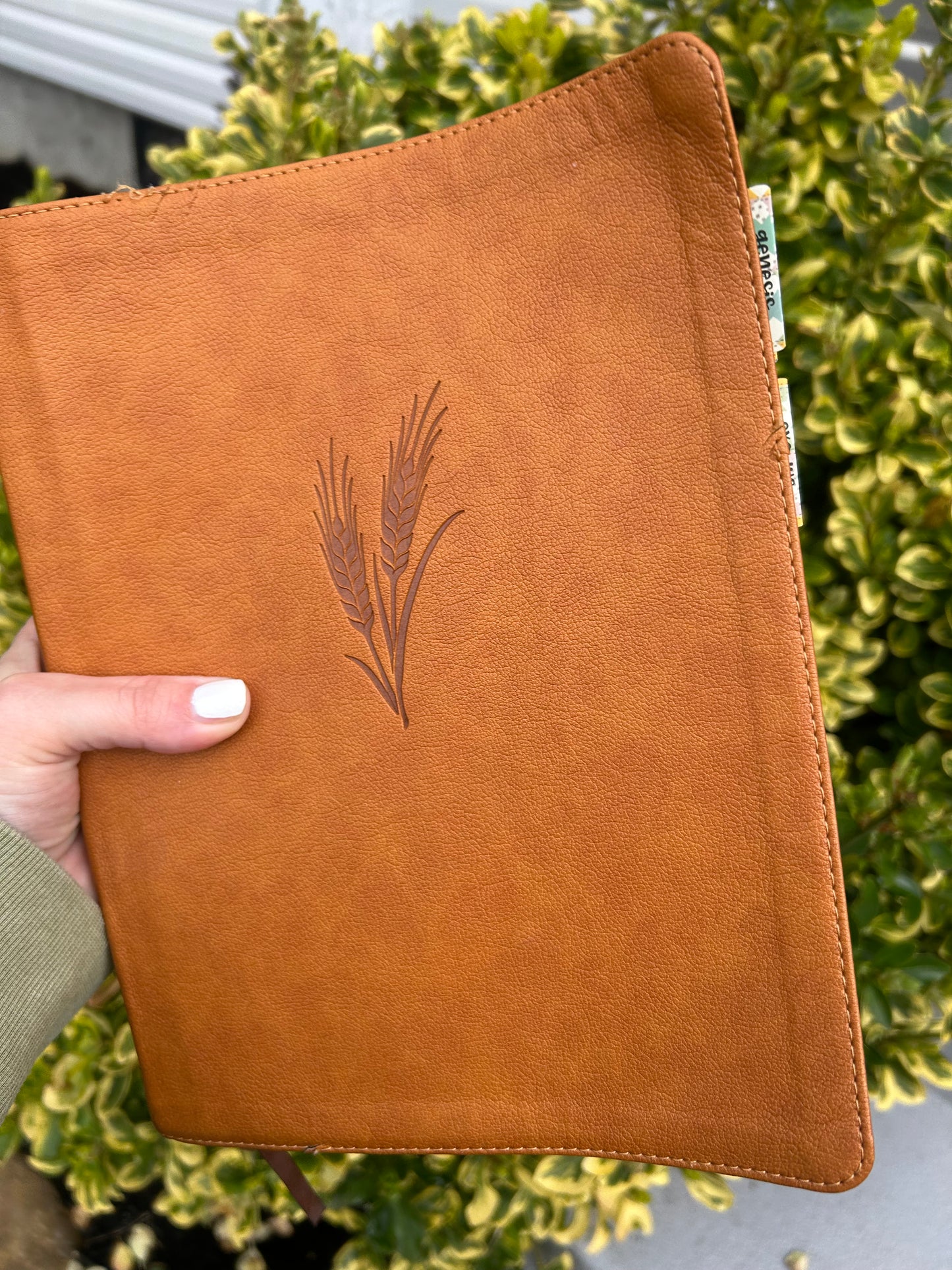 KJV Notetaking Bible, Large Print Edition, Camel LeatherTouch, KJV Holy Bible, Red Letter, Wide Margins, Journaling Space, Single-Column, Reading Plan, Easy-to-Read