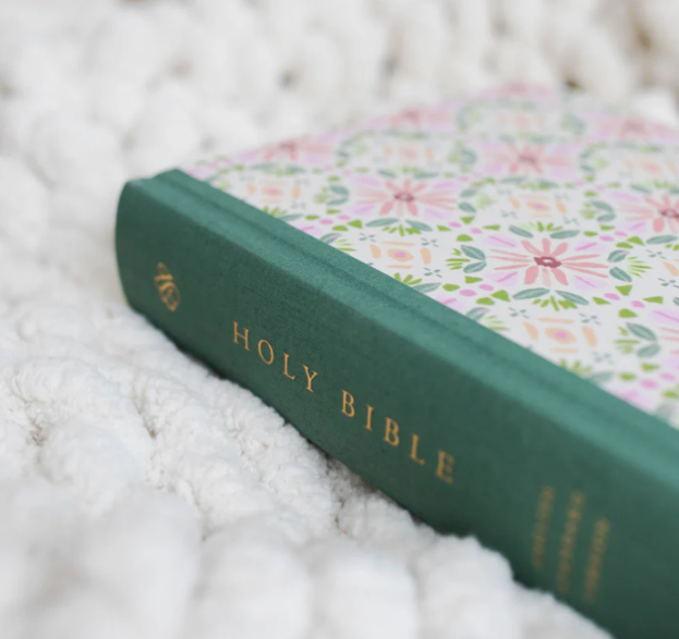 ESV Single Column Journaling Bible – Artist Series | Beautiful Bible for Note-Taking & Creative Study