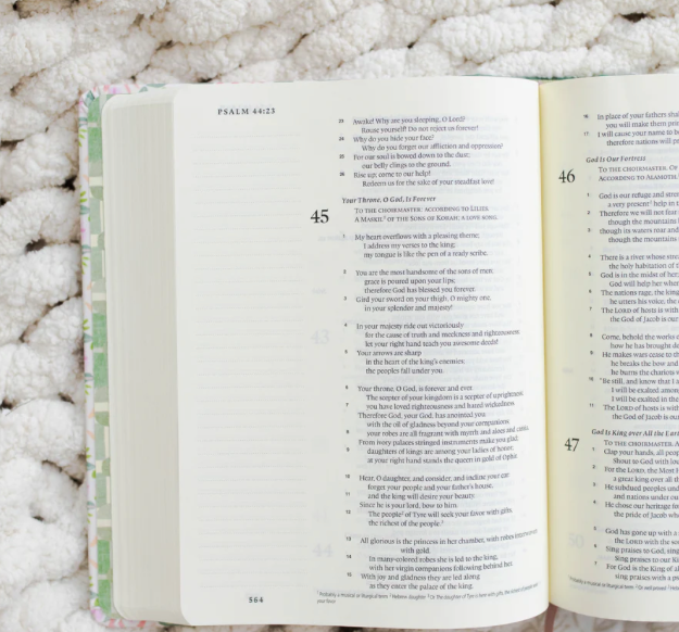 ESV Single Column Journaling Bible – Artist Series | Beautiful Bible for Note-Taking & Creative Study